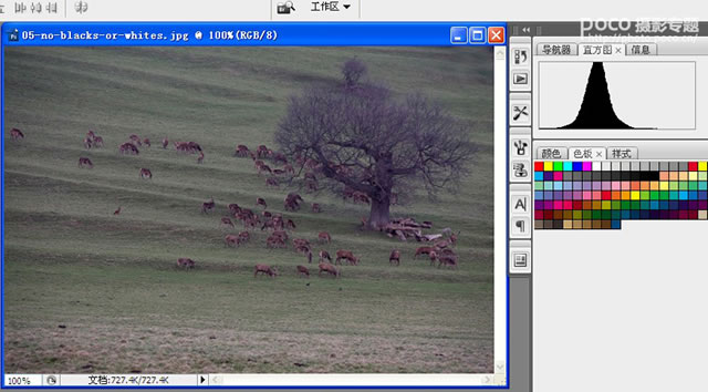 新手在图片后期处理中最易犯的８个错误